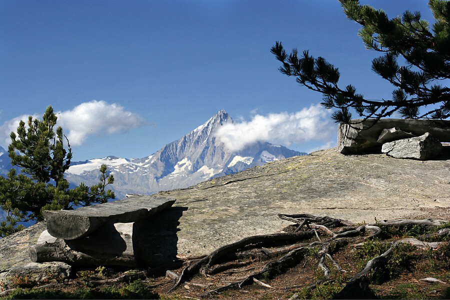 Stel zelf jullie programma samen met mooie wandelingen